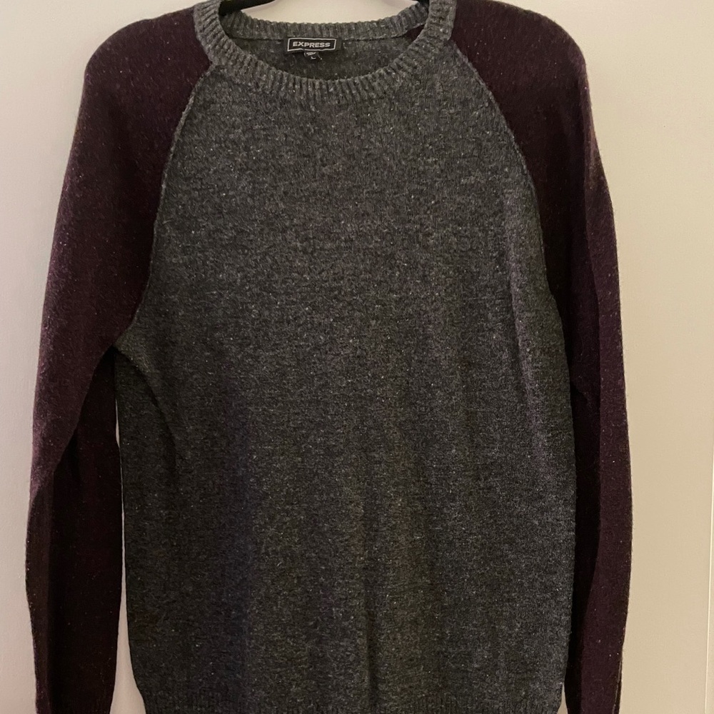 Express light weight sweater